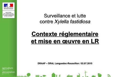 Surveillance et lutte contre Xylella fastidiosa Contexte réglementaire et mise en œuvre en LR DRAAF – SRAL Languedoc-Roussillon / 02.07.2015.