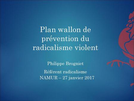 Plan wallon de prévention du radicalisme violent