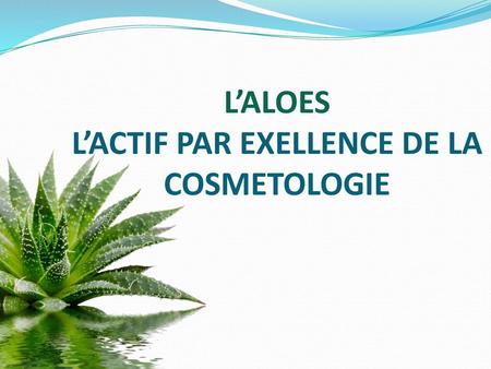 L’ALOES L’ACTIF PAR EXELLENCE DE LA COSMETOLOGIE