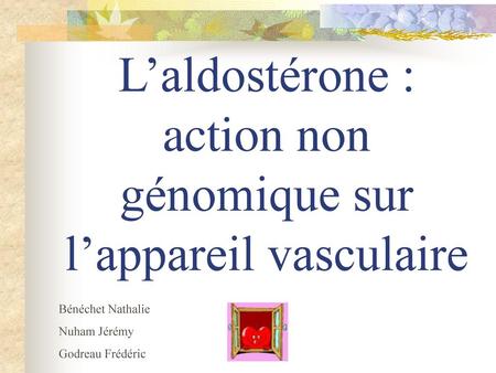 L’aldostérone : action non génomique sur l’appareil vasculaire