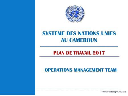 SYSTEME DES NATIONS UNIES AU CAMEROUN
