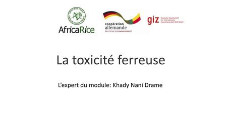 La toxicité ferreuse L’expert du module: Khady Nani Drame.