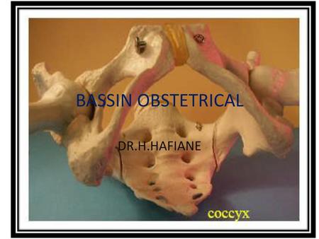 BASSIN OBSTETRICAL DR.H.HAFIANE.
