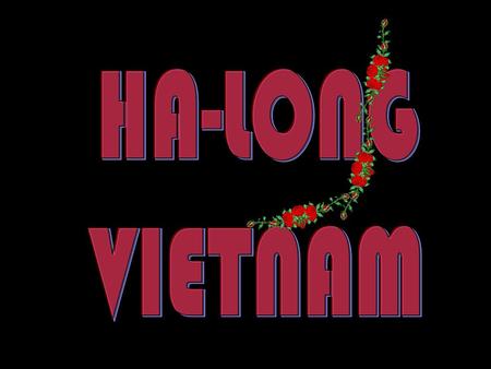HA-LONG VIETNAM.