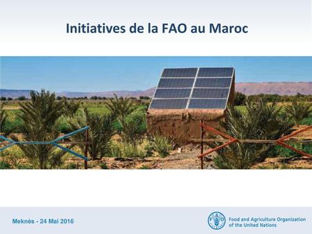 Initiatives de la FAO au Maroc