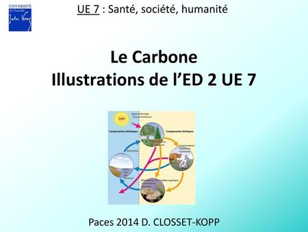 Le Carbone Illustrations de l’ED 2 UE 7