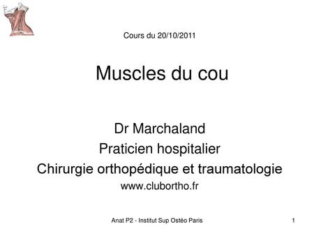 Muscles du cou Dr Marchaland Praticien hospitalier