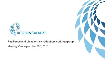 Resilience and disaster risk reduction working group