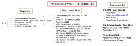 MICROANGIOPATHIES THROMBOTIQUES