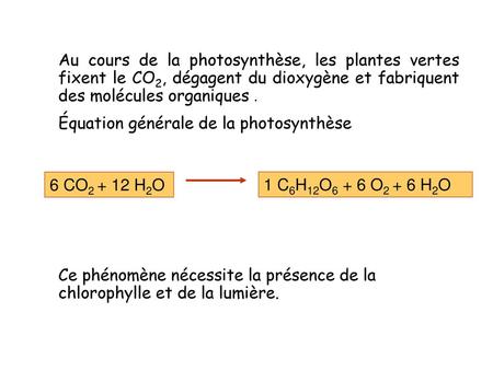 Au cours de la photosynthèse, les plantes vertes fixent le CO2, dégagent du dioxygène et fabriquent des molécules organiques. Équation générale de la photosynthèse.