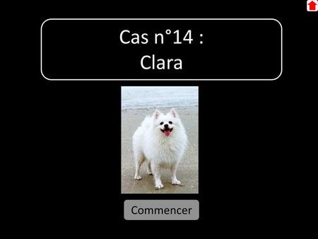 Cas n°14 : Clara Commencer.