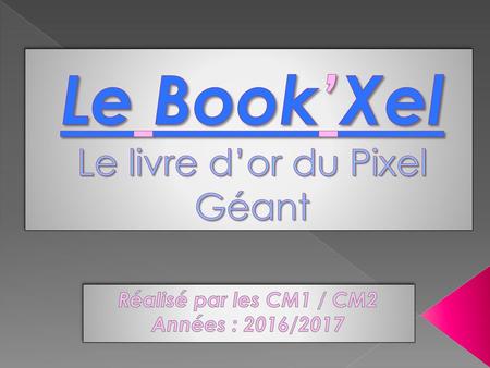 Le Book’Xel Le livre d’or du Pixel Géant