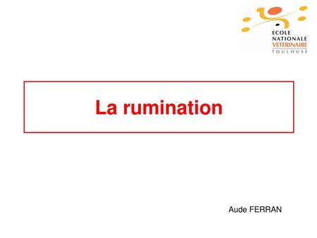 La rumination Aude FERRAN.