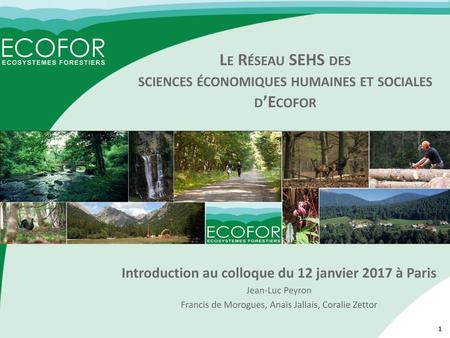 Le Réseau SEHS des sciences économiques humaines et sociales d’Ecofor