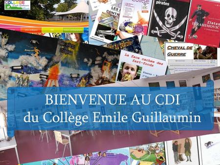 du Collège Emile Guillaumin