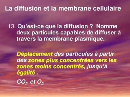 La diffusion et la membrane cellulaire