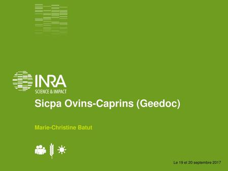 Sicpa Ovins-Caprins (Geedoc)