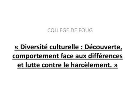 COLLEGE DE FOUG    « Diversité culturelle : Découverte, comportement face aux différences et lutte contre le harcèlement. »