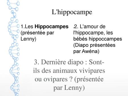 L'hippocampe 1.Les Hippocampes  (présentée par  Lenny)