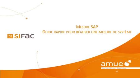 Mesure SAP Guide rapide pour réaliser une mesure de système