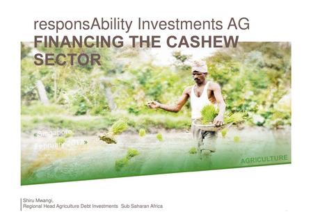 FINANCING THE CASHEW SECTOR responsAbility Investments AG