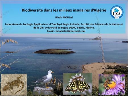 Biodiversité dans les milieux insulaires d’Algérie