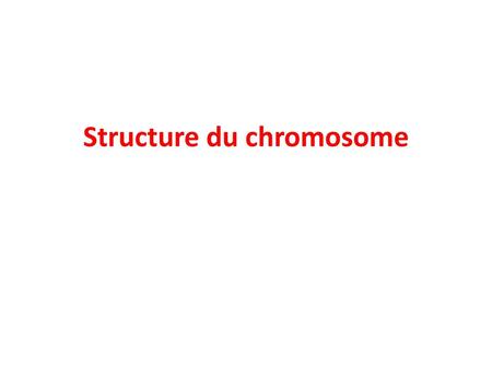 Structure du chromosome