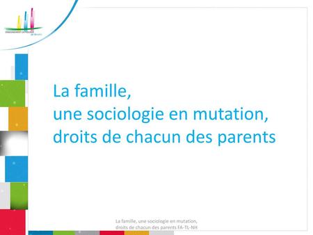 La famille, une sociologie en mutation, droits de chacun des parents