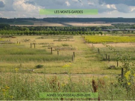 LES MONTS-GARDES AGNES SOURISSEAU-29-06-2016.