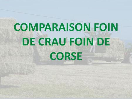 Foin de Crau AOC : 500g