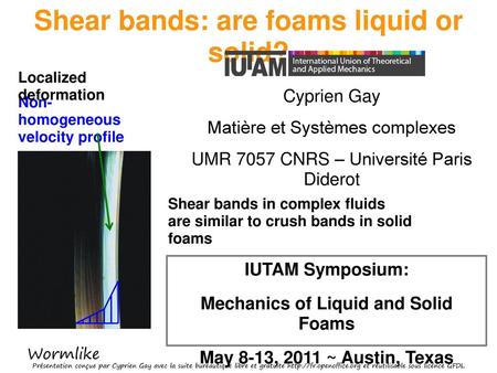 Shear bands: are foams liquid or solid?