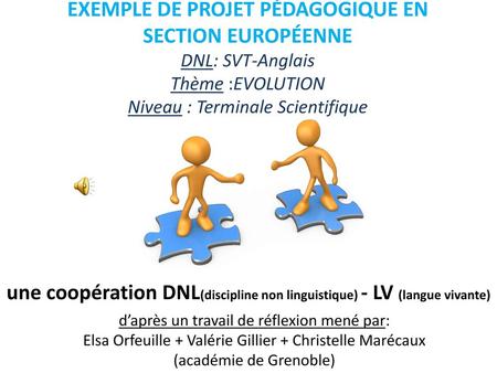 une coopération DNL(discipline non linguistique) - LV (langue vivante)