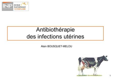 Antibiothérapie des infections utérines