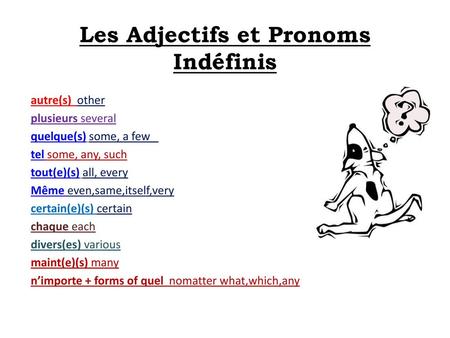 Les Adjectifs et Pronoms Indéfinis
