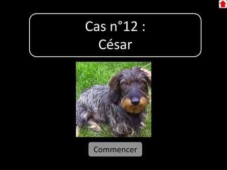 Cas n°12 : César Commencer.