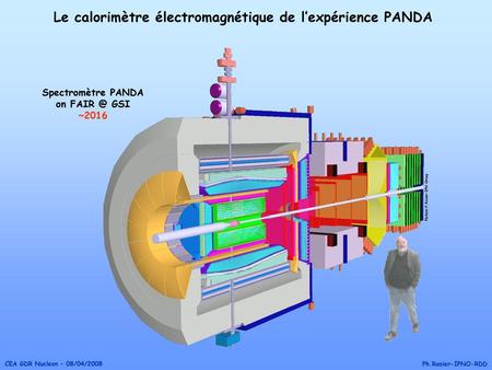 Le calorimètre électromagnétique de l’expérience PANDA
