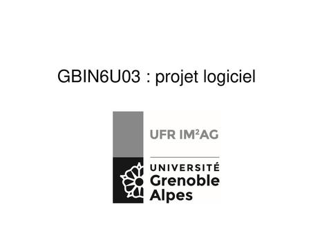 GBIN6U03 : projet logiciel