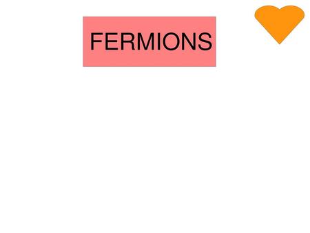 FERMIONS.