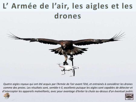 L’ Armée de l’air, les aigles et les drones