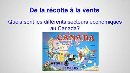 Quels sont les différents secteurs économiques au Canada?