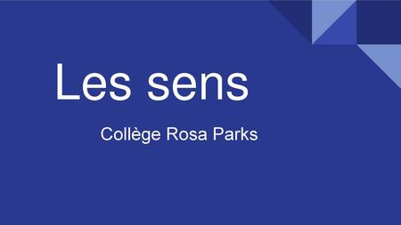 Les sens Collège Rosa Parks.