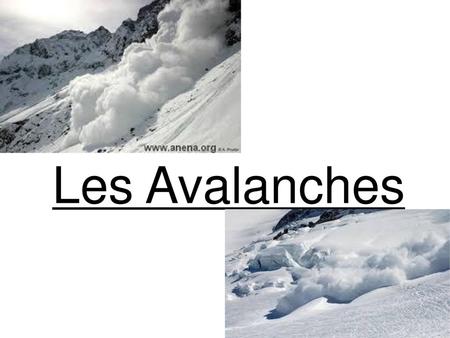 Les Avalanches.