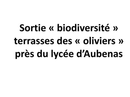 Sortie « biodiversité » terrasses des « oliviers » près du lycée d’Aubenas 1 1.