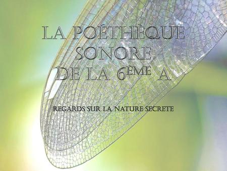 La poéthèque sonore de la 6ème A Regards sur la nature secrete