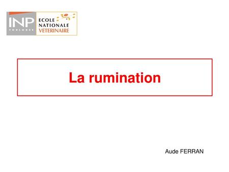 La rumination Aude FERRAN.