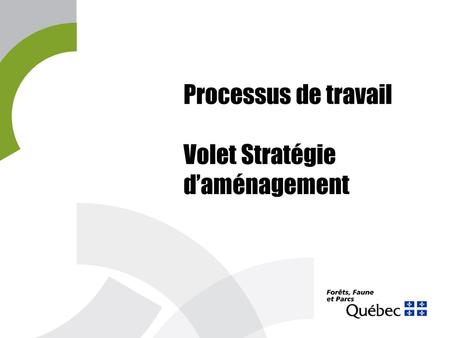 Processus de travail Volet Stratégie d’aménagement