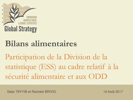 Bilans alimentaires Participation de la Division de la statistique (ESS) au cadre relatif à la sécurité alimentaire et aux ODD Salar TAYYIB et Rachele.