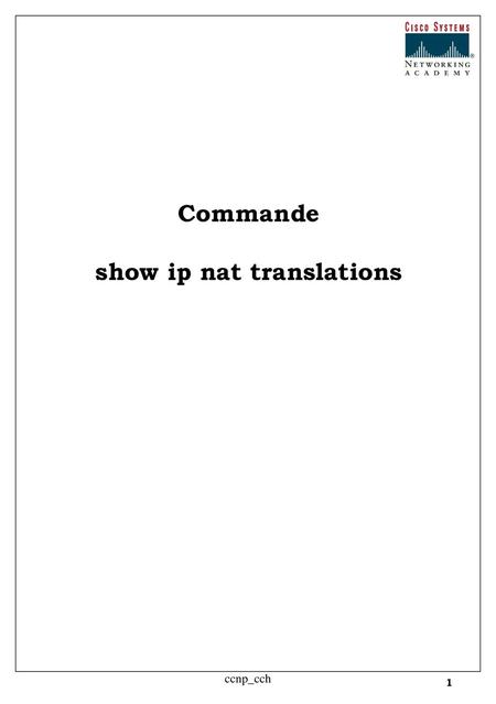 show ip nat translations