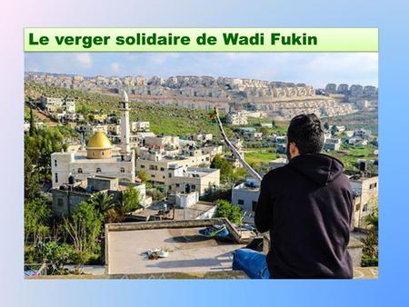 Le verger solidaire de Wadi Fukin
