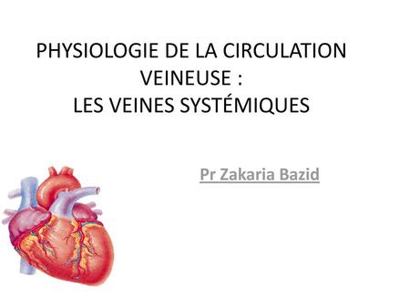 Physiologie de la circulation veineuse : les veines systémiques